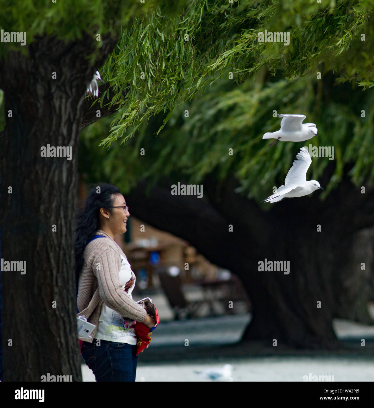 Woman with gulls in flight flying overhead Stock Photo