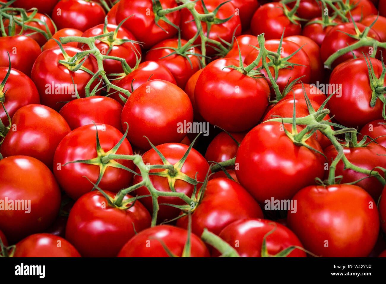 Tomatoes fresh vegetable food hi-res stock photography and images - Alamy