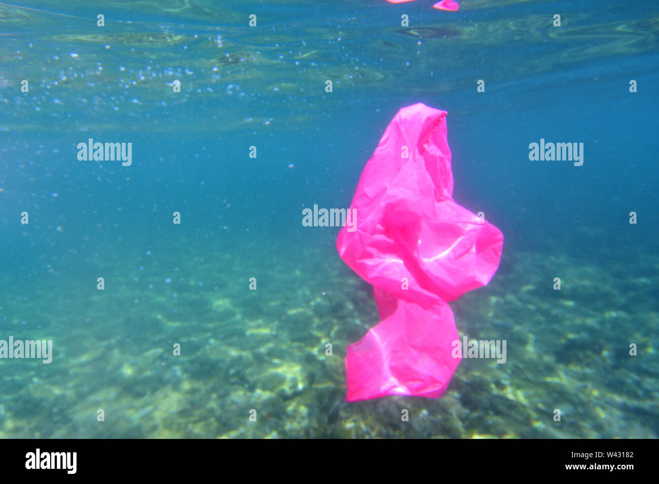 plastic bag floating in the sea Stock Photo Alamy