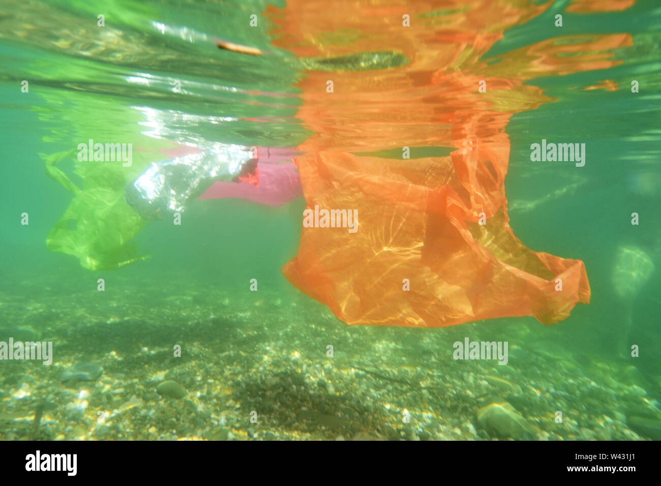 plastic bag floating in the se Stock Photo Alamy