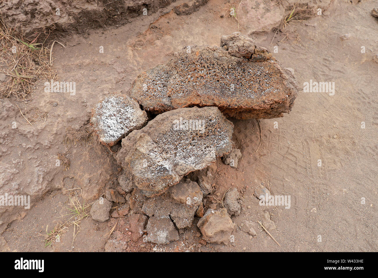 Hardened pieces of lava stones. Porous structure of igneous lava