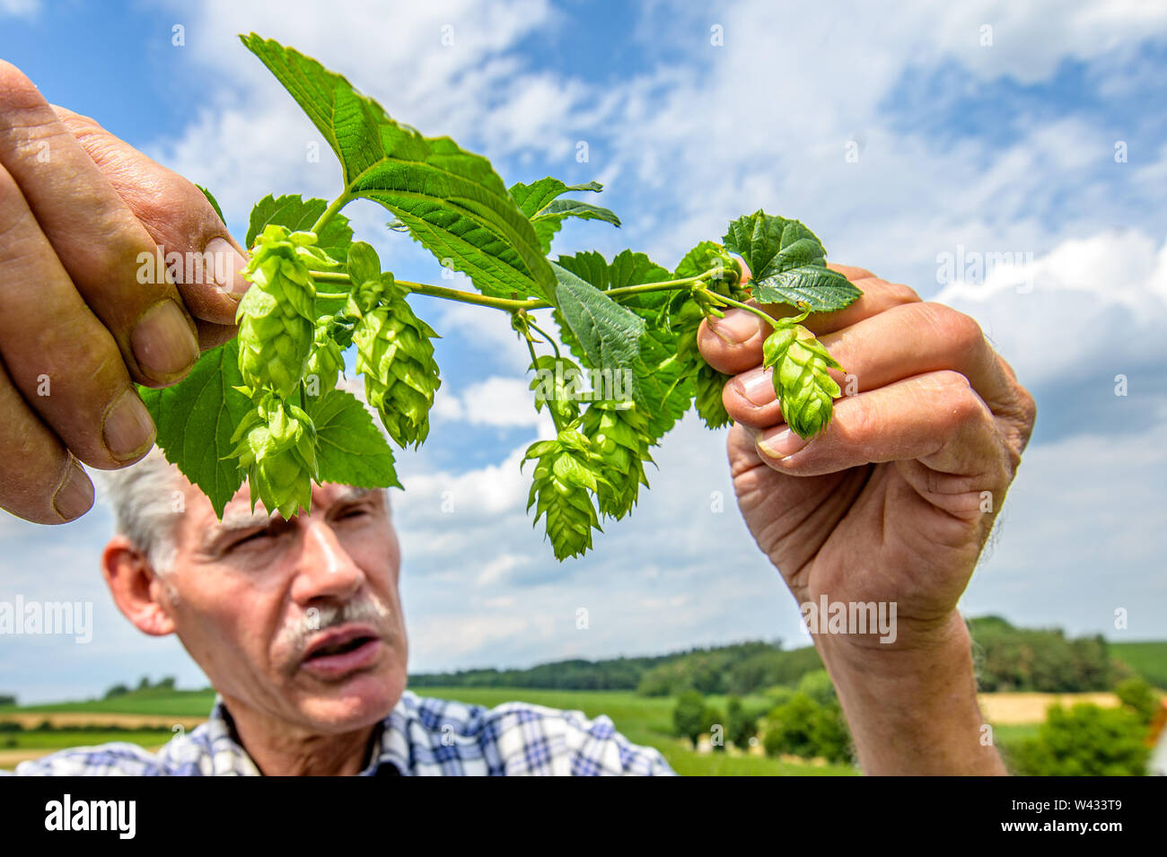 Elsendorf, Germany. 19th July, 2019. Eugen Kirzinger, farmer, inspects