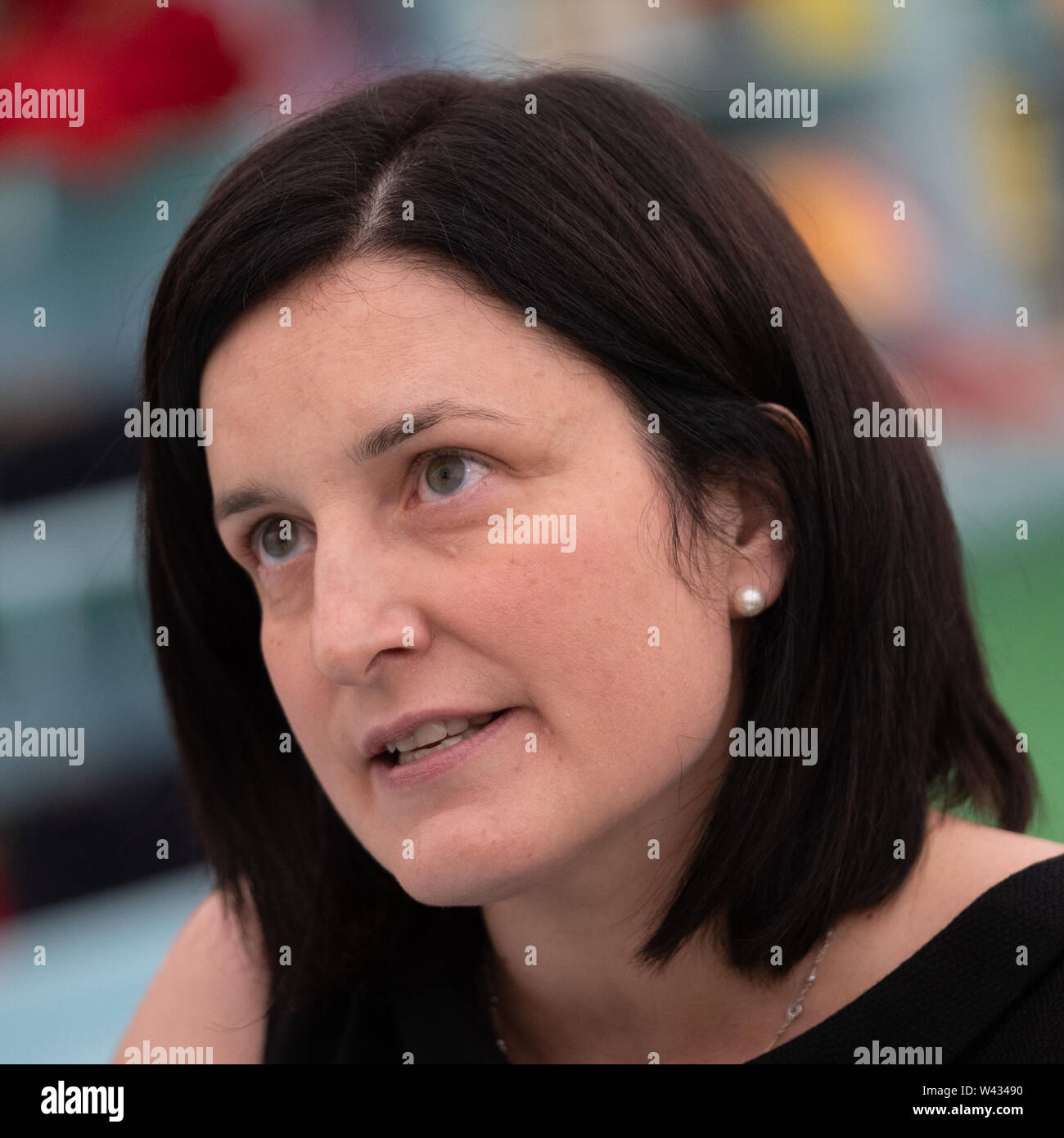 Elizabeth Goldring, honorary associate professor at the Centre for the Study of the Renaissance at the University of Warwick and a fellow of the Royal Historical Society at the  32nd annual Hay Festival of Literature and the Arts. Stock Photo