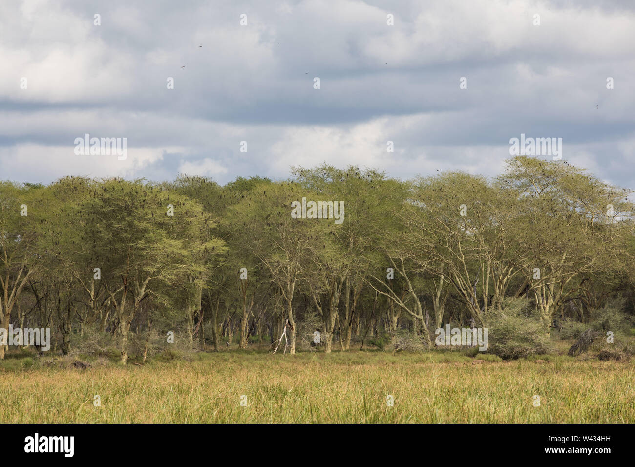 The remote Pafuri region in the far north of Kruger National Park, Limpopo, South Africa, is a favorite among many safari going tourists. Stock Photo