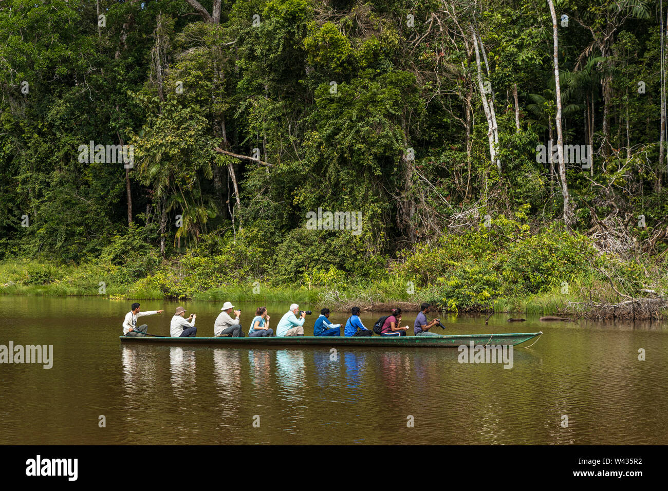 Tourists in a long canoe style boaton Lake Condenado, oxbow lake in the jungle near the river Tambopata, Amazonia, Peru, South America Stock Photo