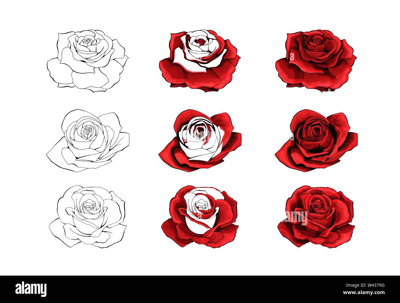 Rose illustration hi-res stock photography and images - Alamy