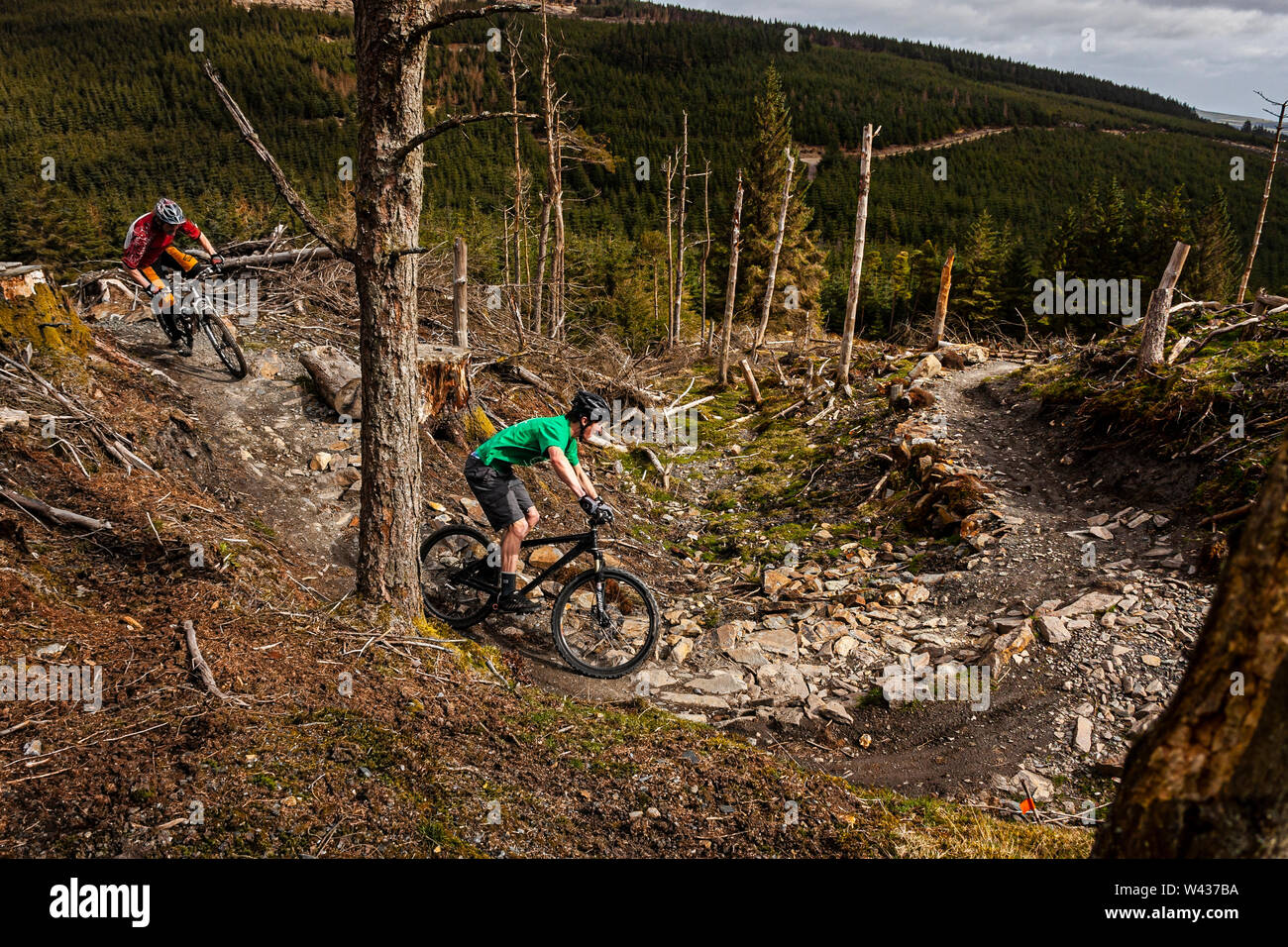 Two mountain bikers riding a rocky trail in the purpose built MTB trail centre. Stock Photo