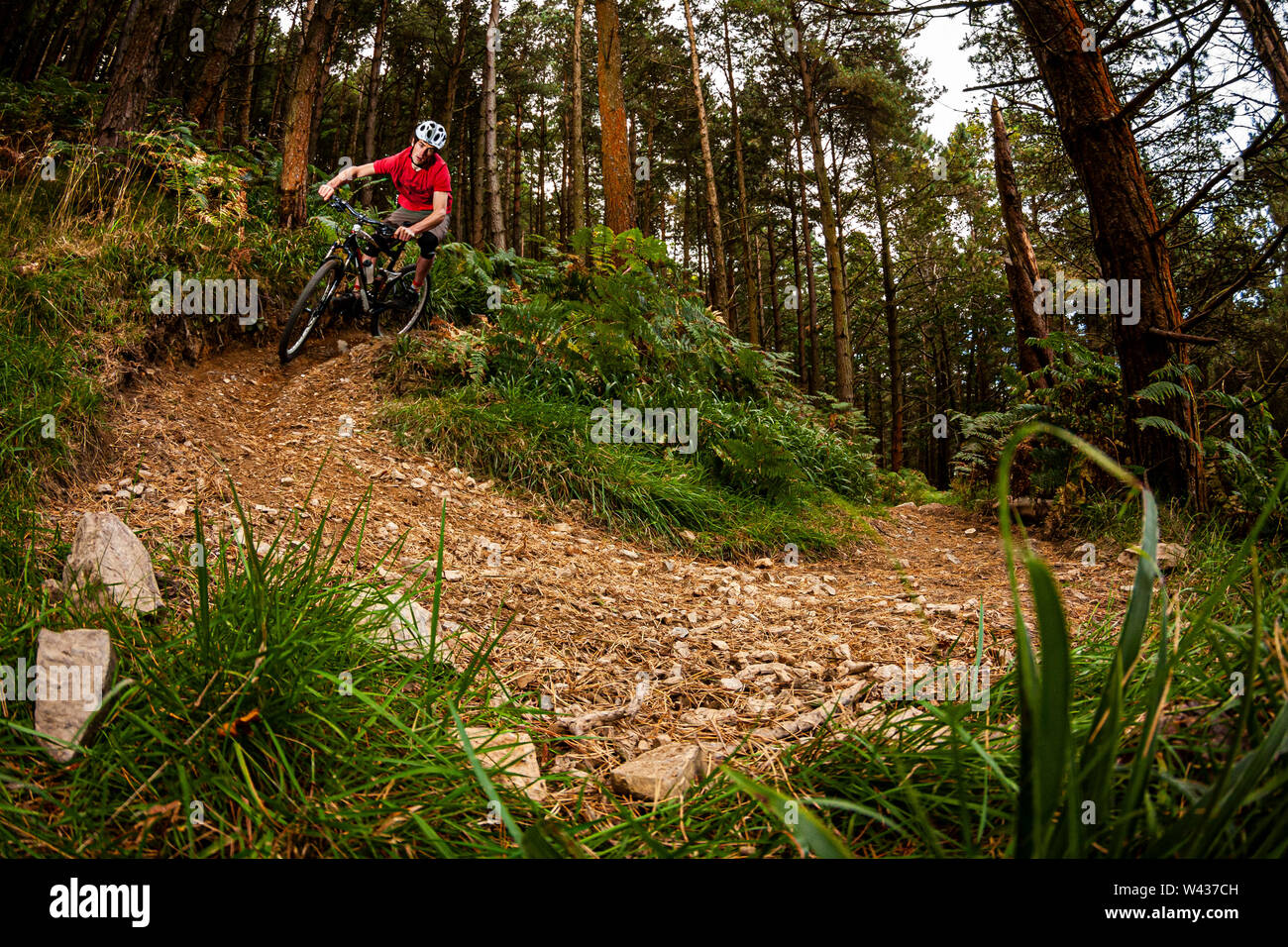 mtb trail centres near me