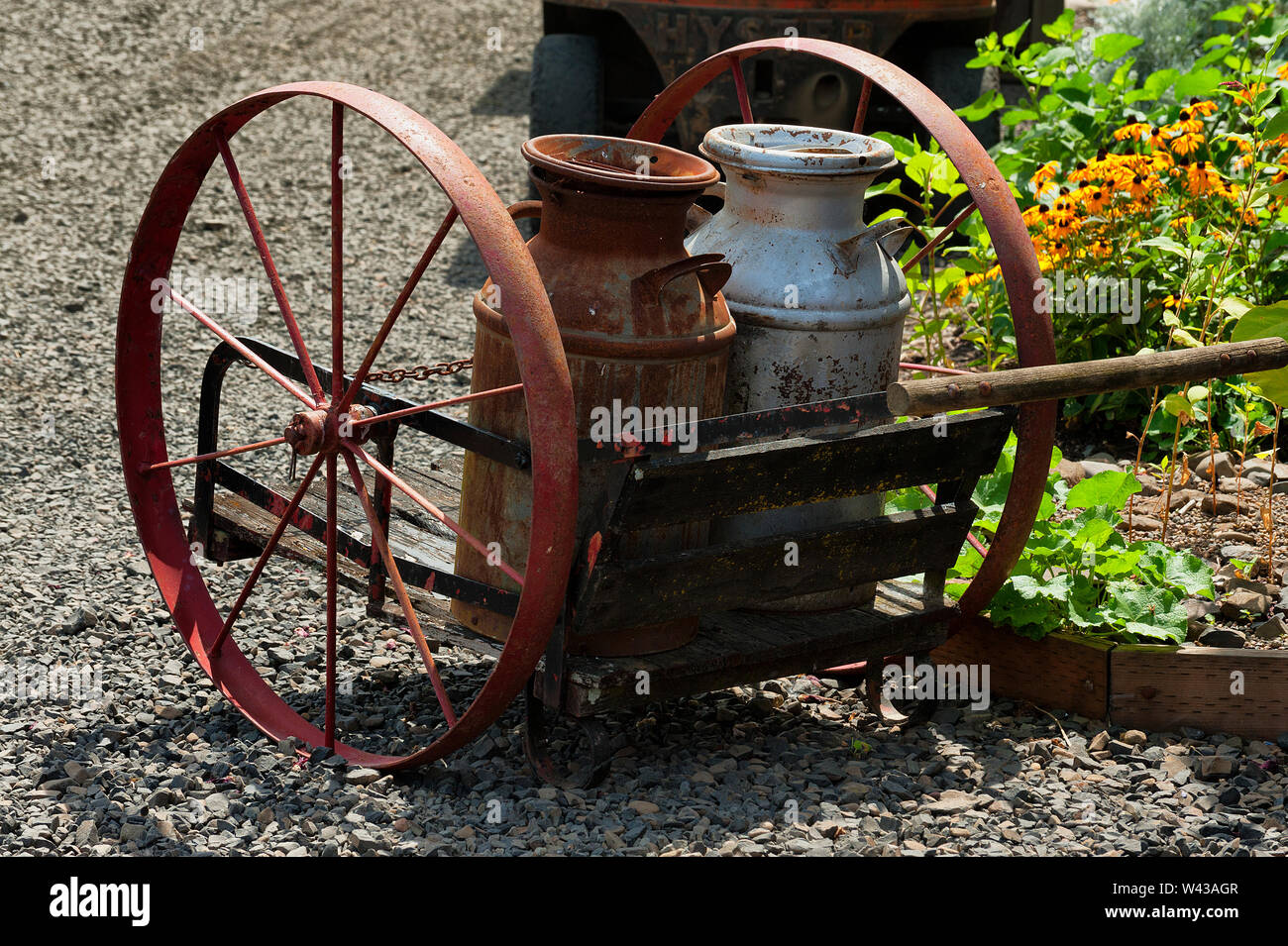 Close up of an old rusty carrier of metal milk cans parked by a small flower garden, Stock Photo