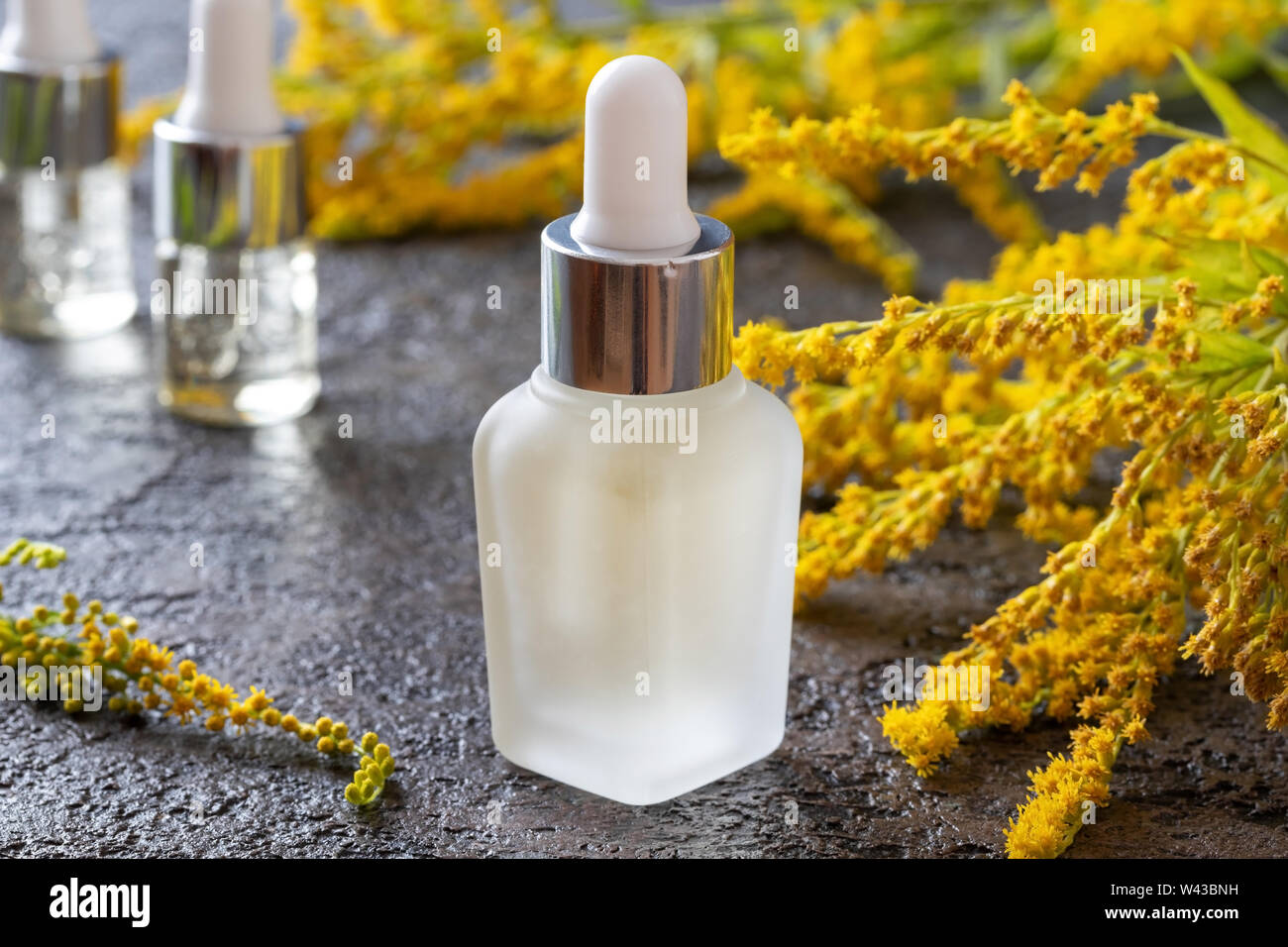 A bottle of Canadian goldenrod essential oil with blooming Solidago canadensis twigs Stock Photo