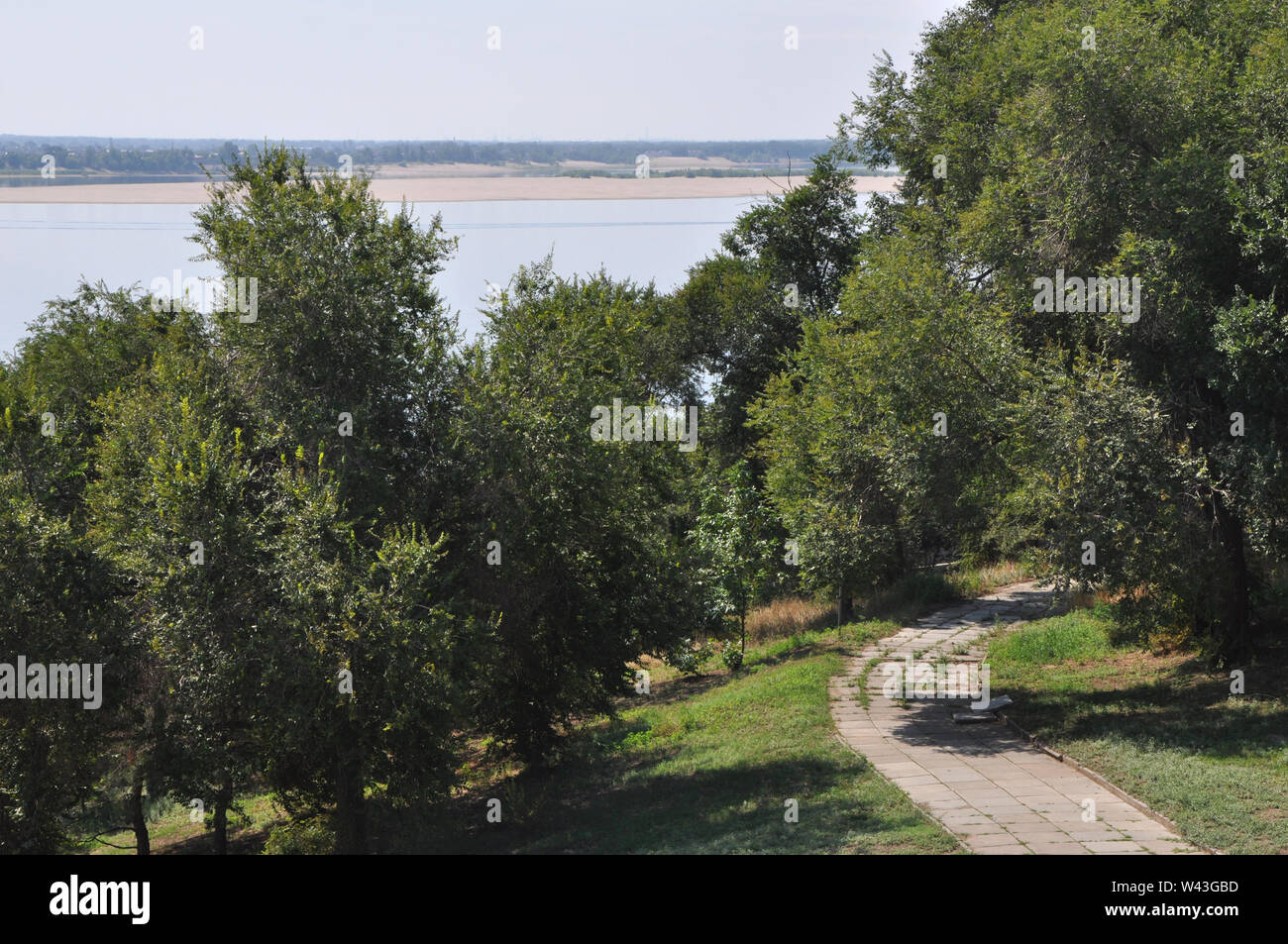 Green elm trees against summer riverscape with a paved concrete path turning right Stock Photo