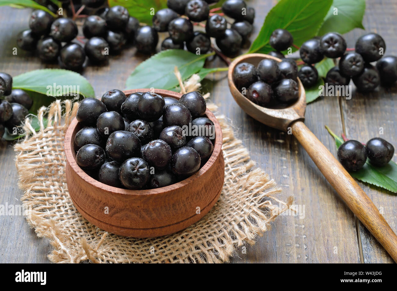 Black chokeberry (Aronia melanocarpa) in wooden bowl, close up view Stock Photo