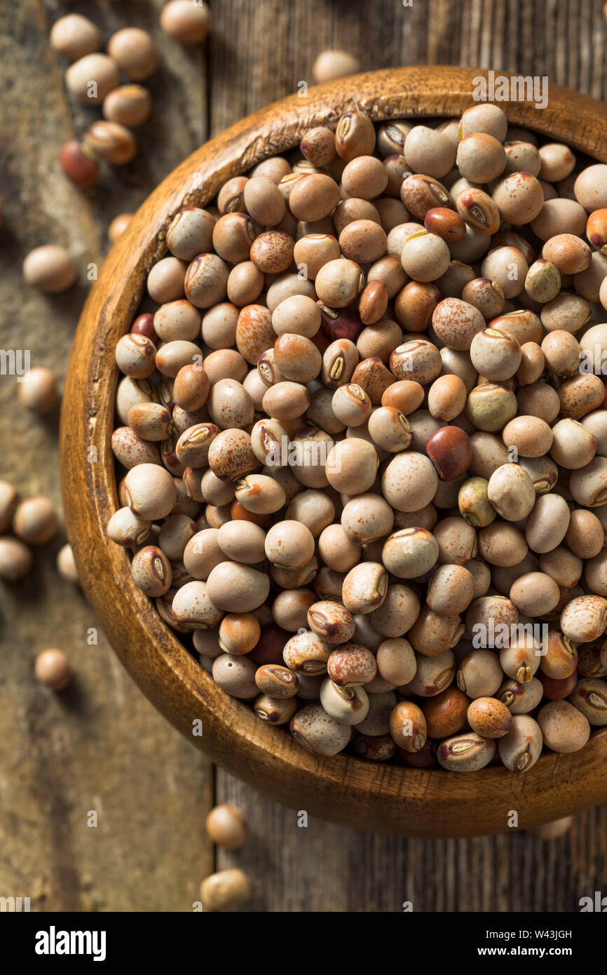 Organic Dry Toor Whole Pigeon Peas in a Bowl Stock Photo