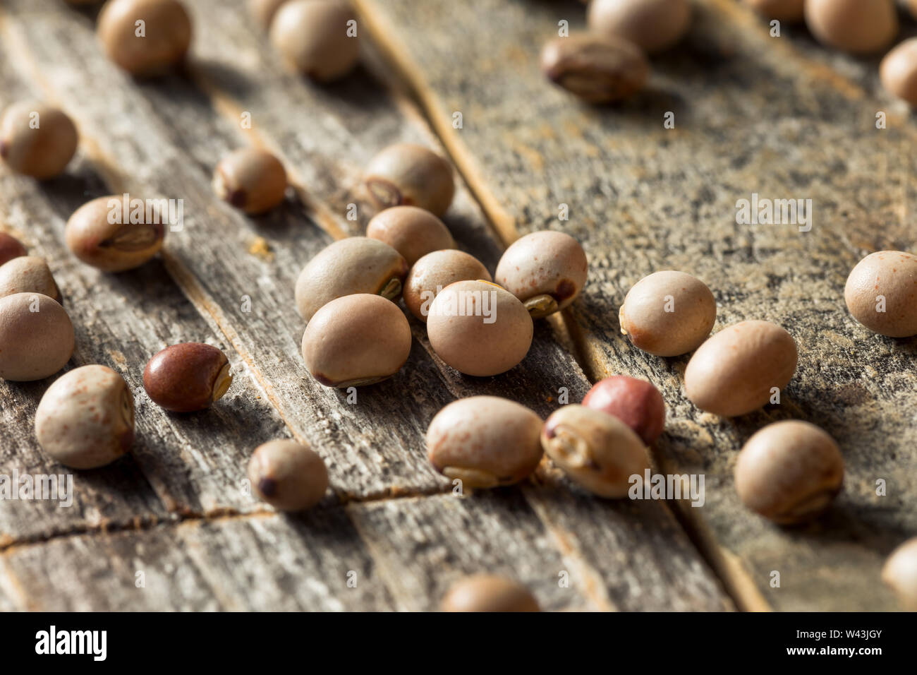Organic Dry Toor Whole Pigeon Peas in a Bowl Stock Photo Alamy