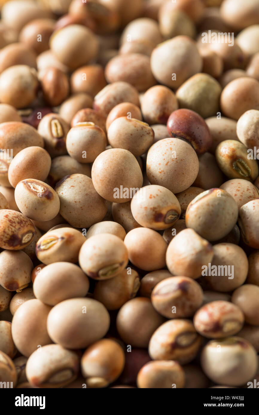 Organic Dry Toor Whole Pigeon Peas in a Bowl Stock Photo Alamy