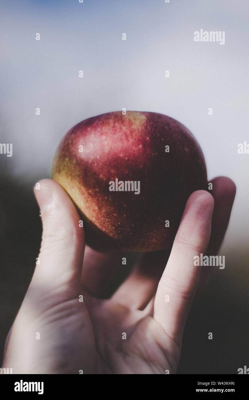 Vertical shot of a person's hand holding a red apple on a blurred background Stock Photo