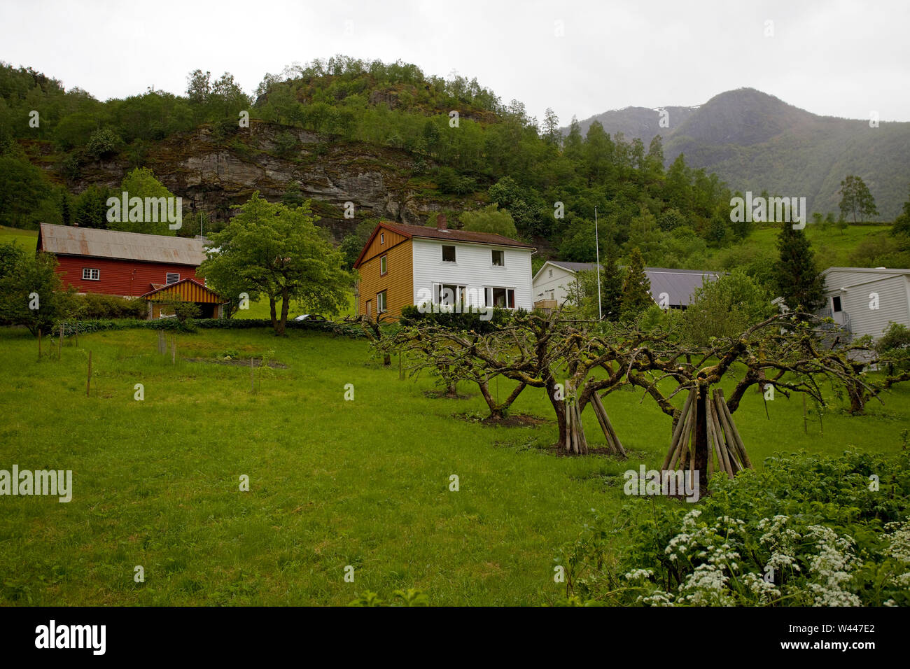Traditional style houses in Flam, Norway Stock Photo Alamy