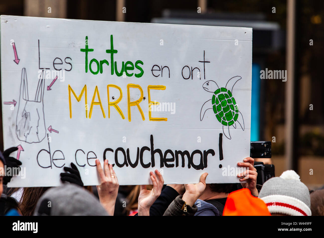 Protesting Turtles French words are written on a placard saying the turtles are fed up ...