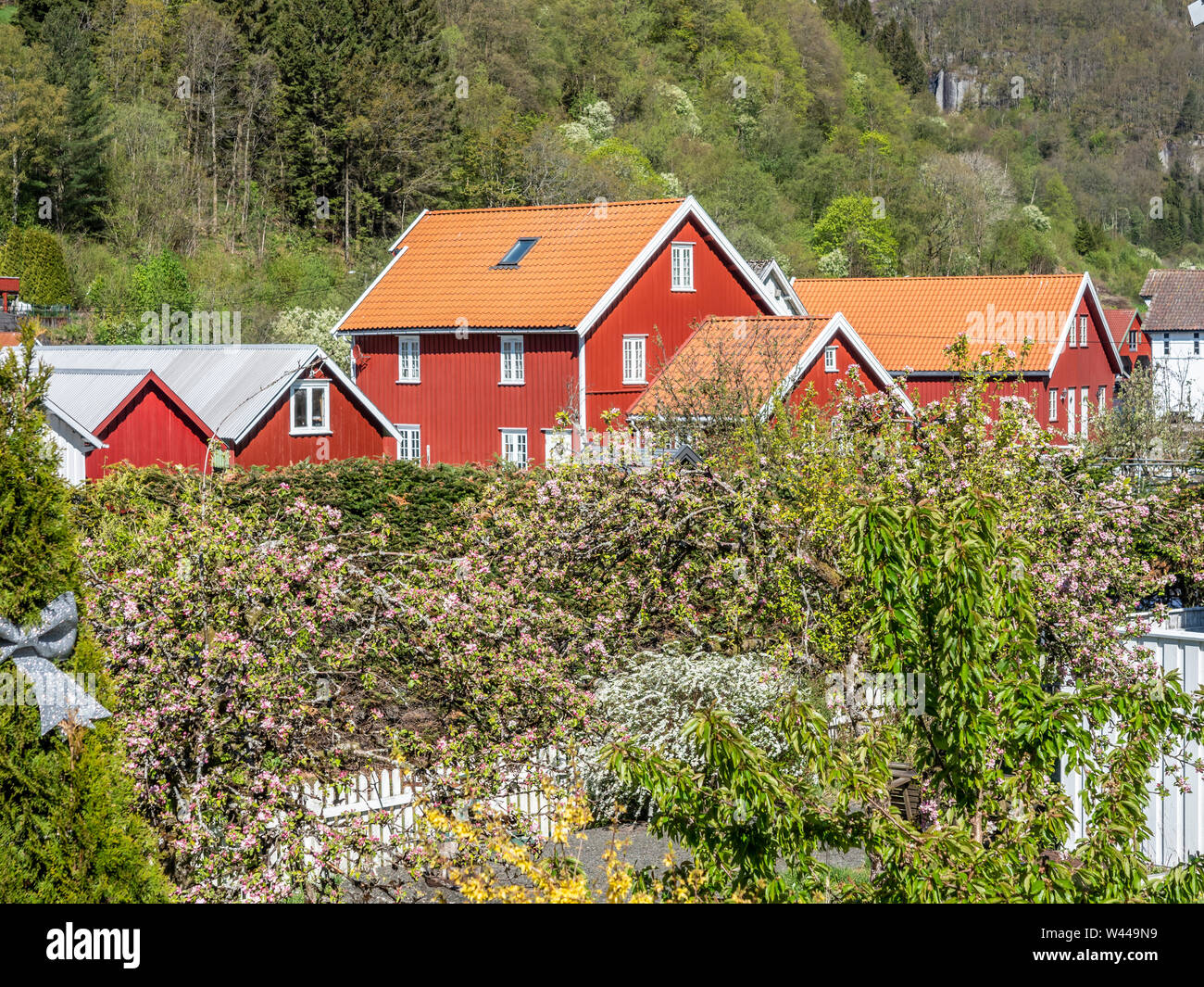 Cottage Garden Norway Stock Photos Cottage Garden Norway Stock