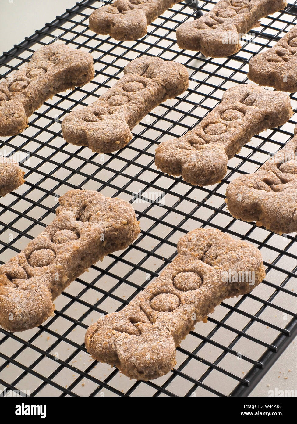 cool dog treats