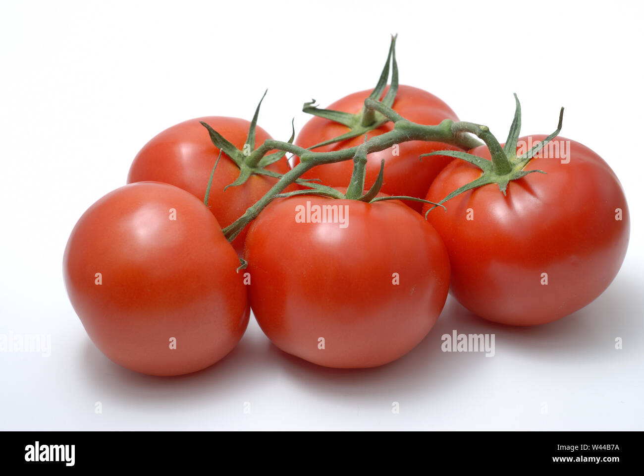 Five fresh whole tomatoes still on the vine Stock Photo