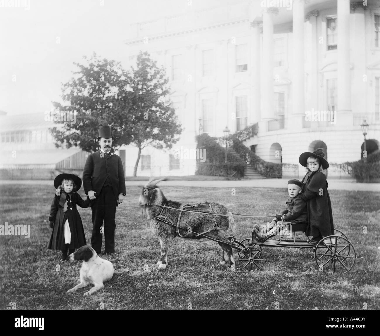 Major Russell Harrison, son of U.S. President Benjamin Harrison, with his daughter Marthena and nephew and niece (Benjamin 'Baby' and Mary McKee) on a cart pulled by the presidential pet goat 'Whiskers' at the White House, Washington DC, USA, Photograph by Francis Benjamin Johnston between 1889 and 1893 Stock Photo