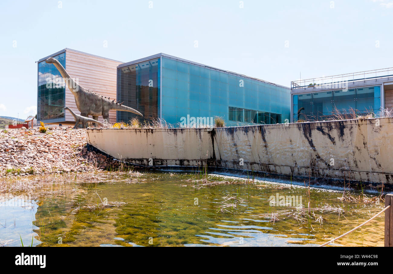 Museo de Paleontología. Ciudad de Cuenca. Castilla la Mancha. España Stock Photo