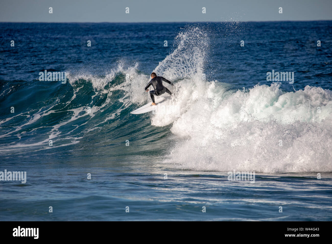 Australian surfers surfing at Avalon beaching Sydney,NSW,Australia