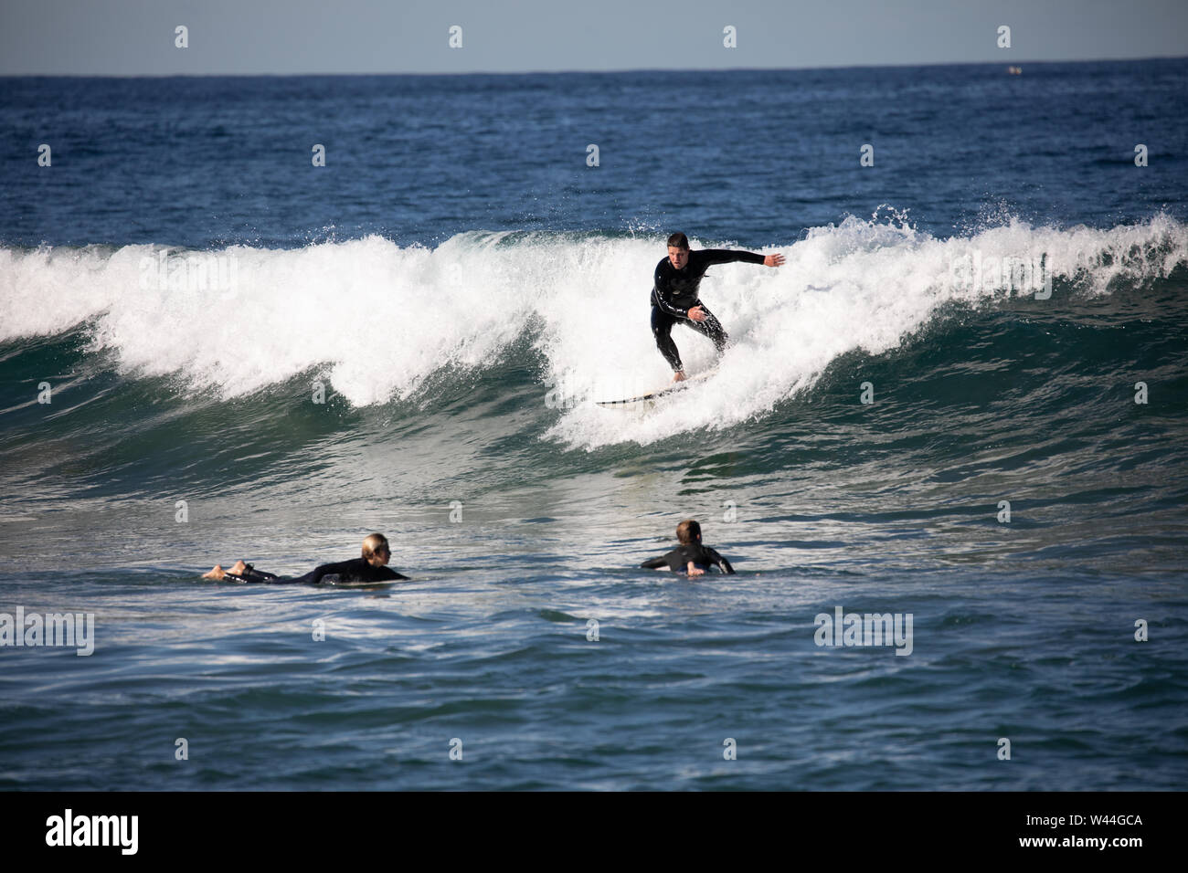 Sydney, man surfing the waves at Avalon beach on Sydney northern