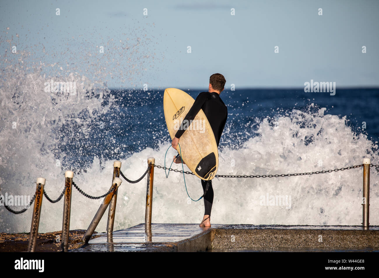 Australian surfer carries his surfboard to the ocean at Avalon Beach in