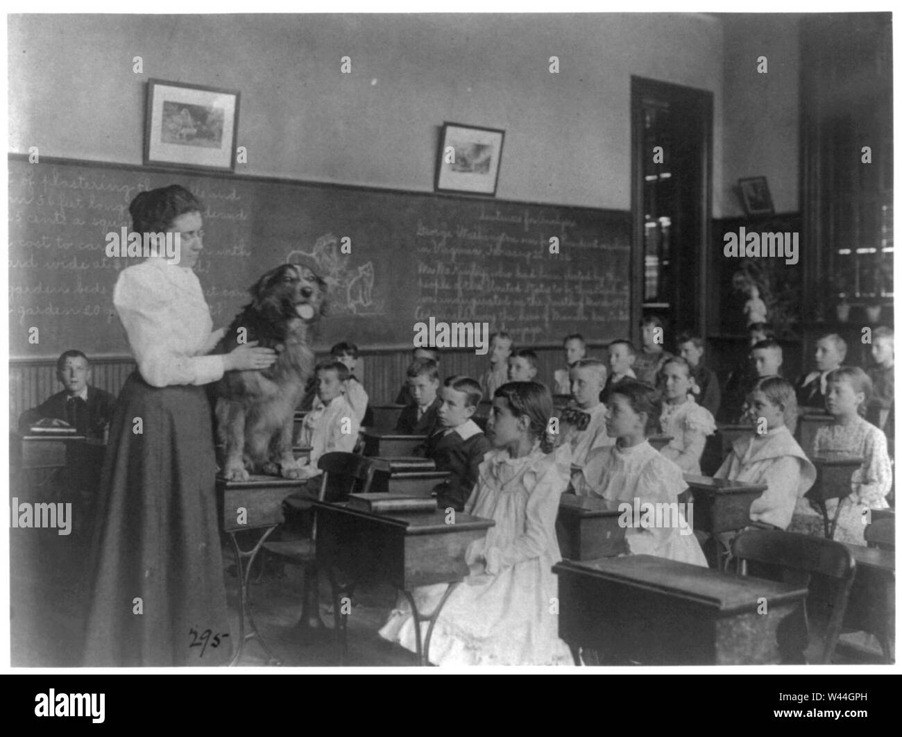 Classroom scenes in Washington, D.C. public schools- studying live dog ...