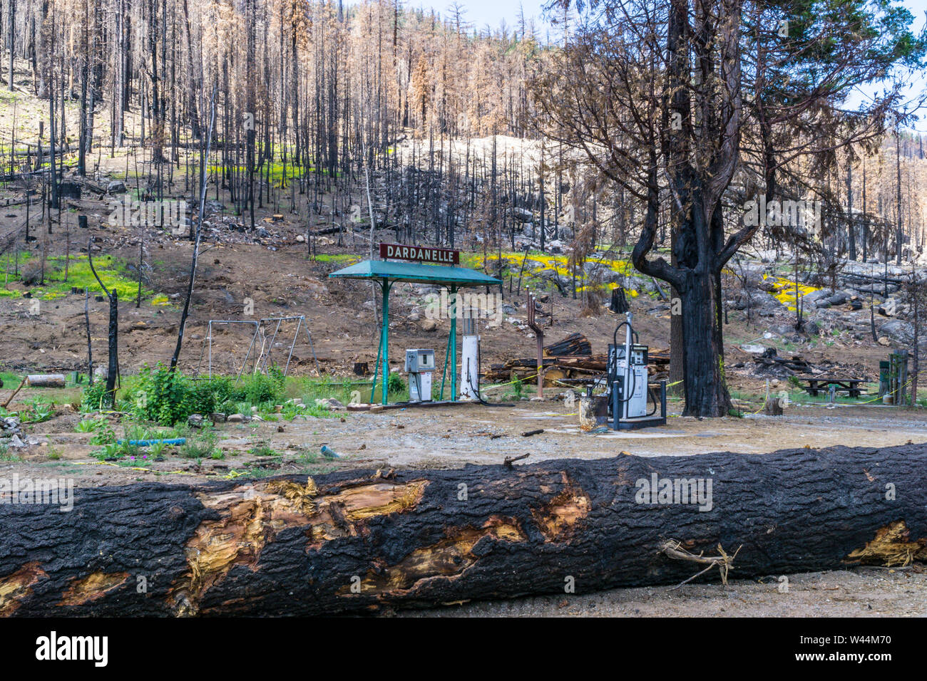 The devastation of the 2018 Donnell fire has laid waste to what was the