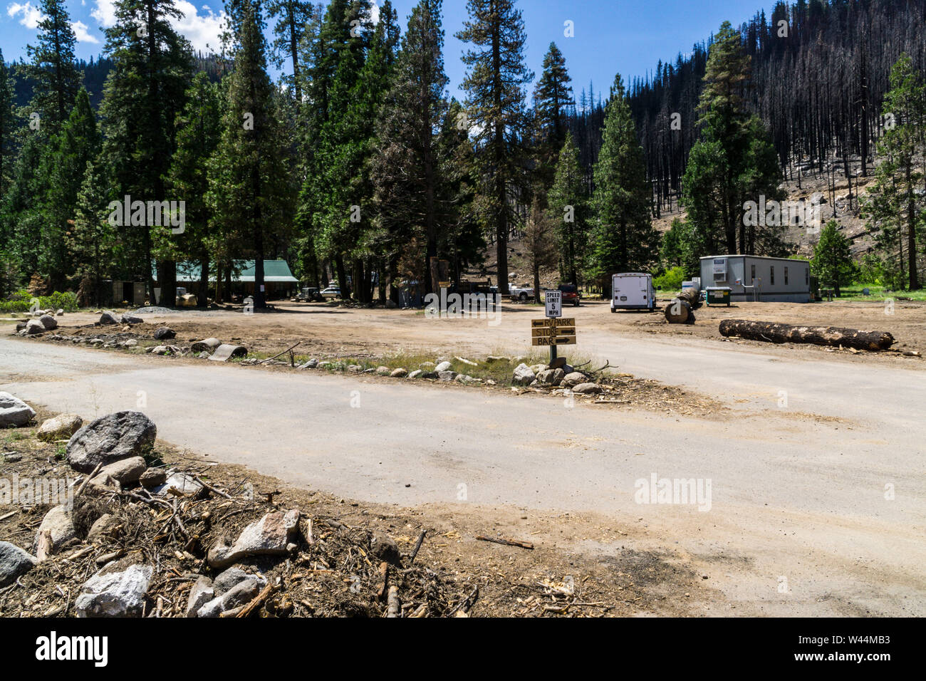 The devastation of the 2018 Donnell fire has laid waste to what was the