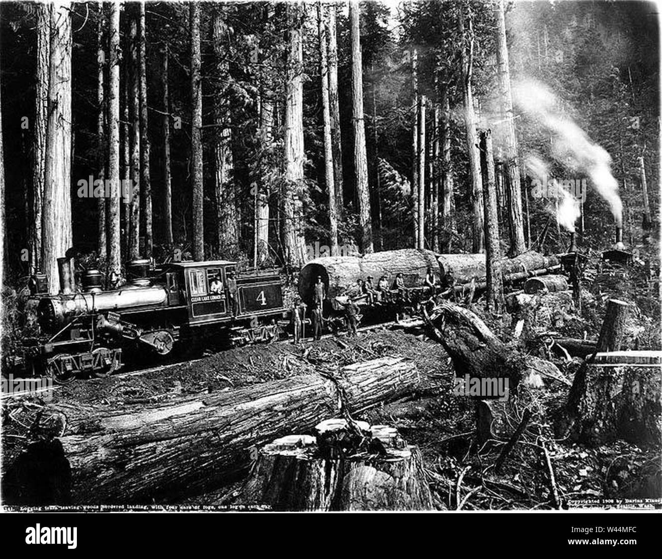 Clear Lake Logging Co railroad leaving landing with load of logs Washington 1908 (KINSEY 2837