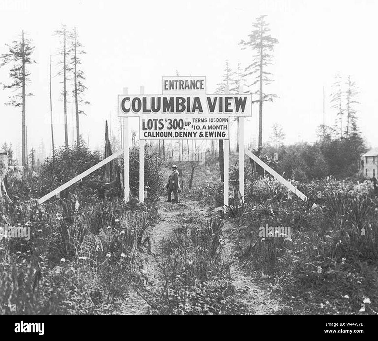 Columbia View Addition, Rainier Valley, Seattle, 1908 (CURTIS 282 Stock