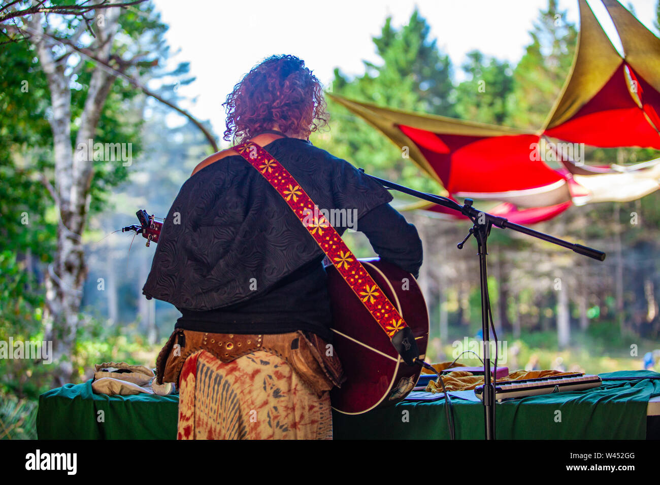 A Lady Guitarist Is Seen On Stage From The Back With A Patterned