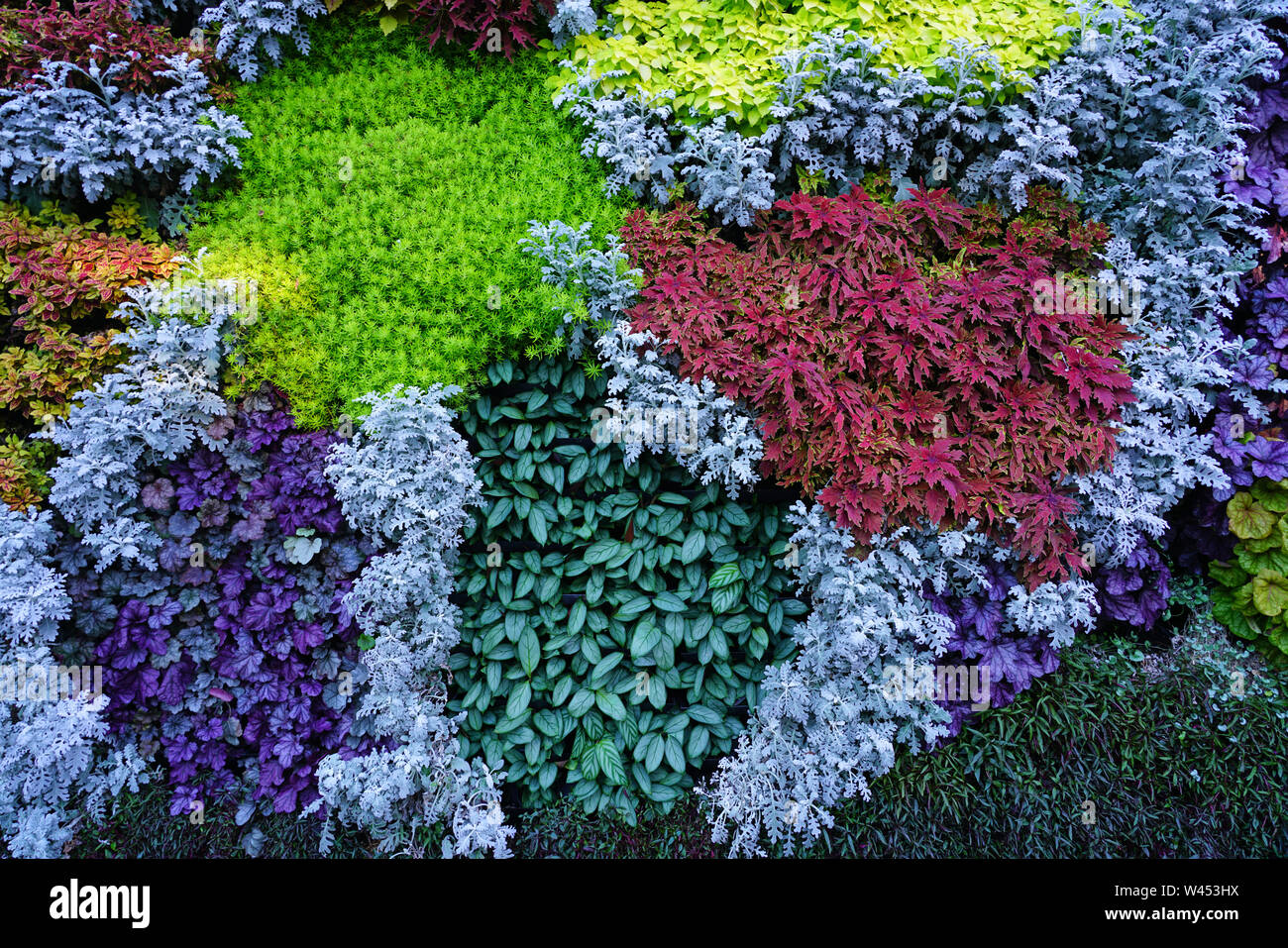 Colorful vertical living wall with live plants Stock Photo Alamy