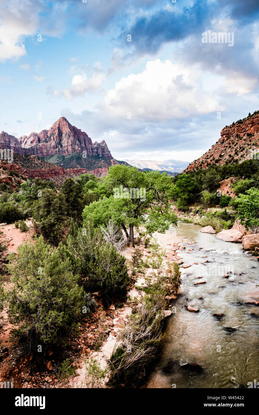 Zion National Park at Dawn Stock Photo Alamy