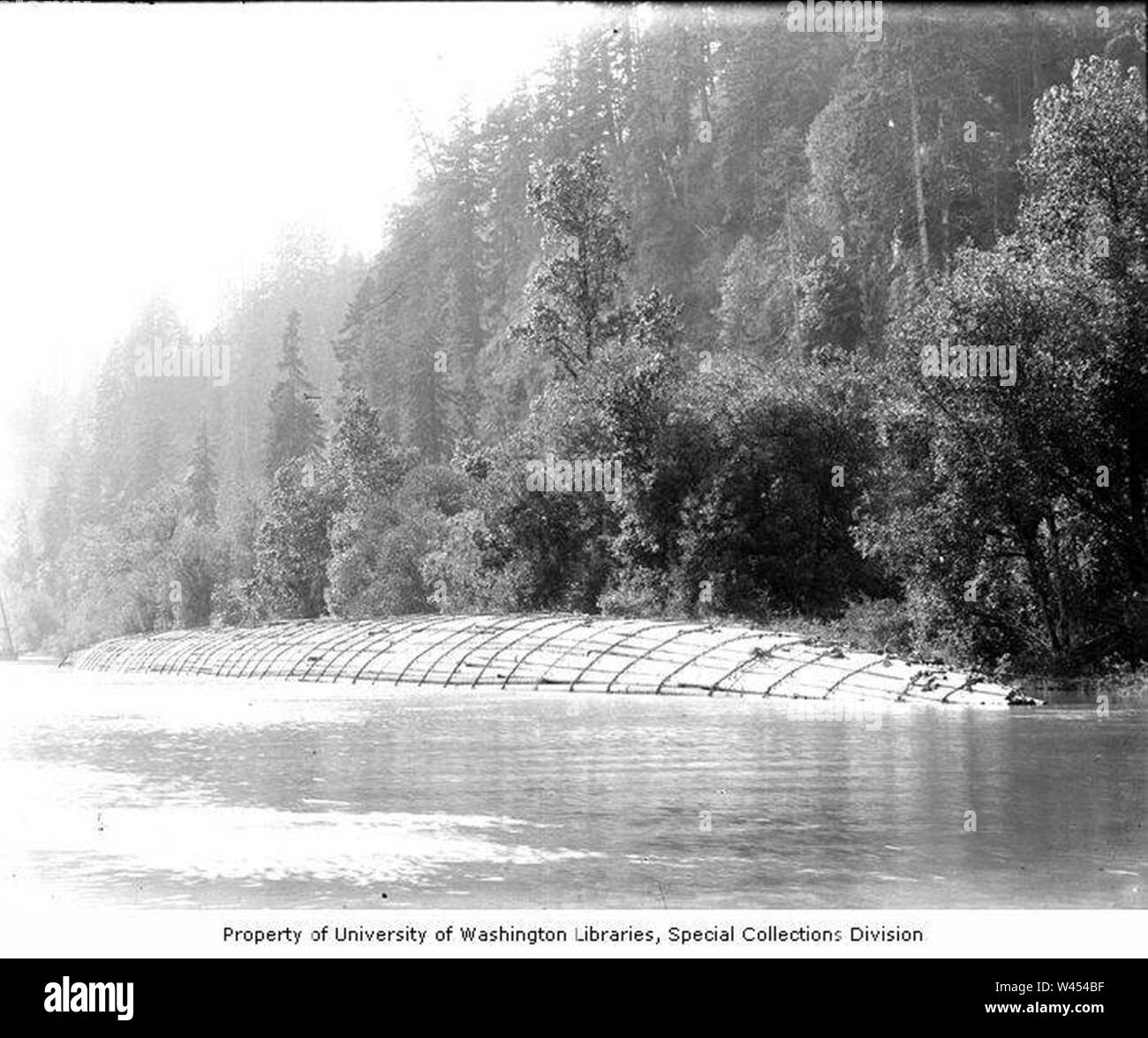 Completed Benson raft tied to shore Columbia River near Stella ...
