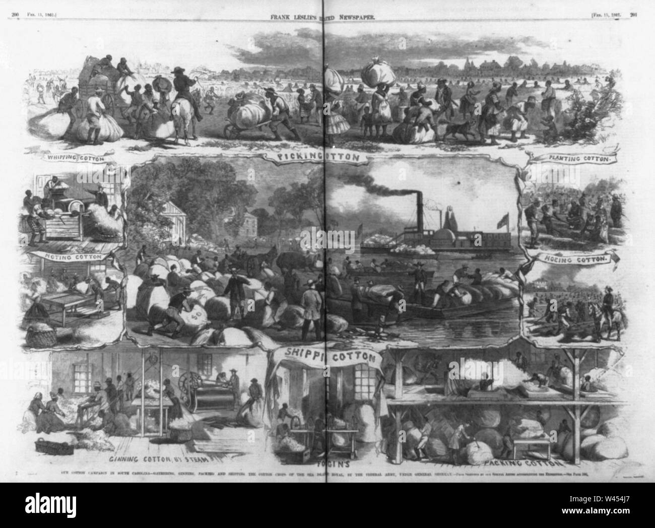 Composite of scenes of) Our cotton campaign in South Carolina - gathering, ginning, packing and shipping the cotton crops of the Sea Island Royal, by the Federal Army, under General Sherman Stock Photo