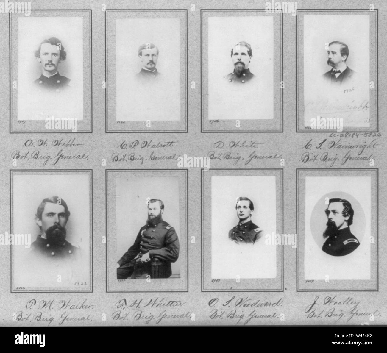 Composite of 7 busts and 1 half-length photos of Brig. Generals A.W. Webber, C.F. Walcott, D. White, C. Wainwright, T.M. Walker, F.H. Whittier, O. Woodward, J. Woolley Stock Photo