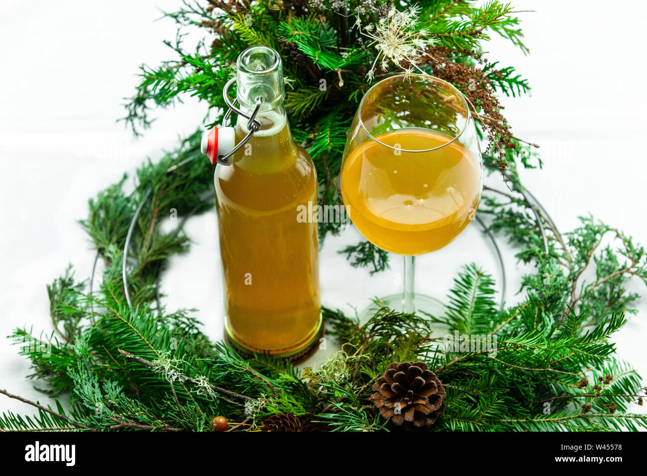 Fermented Tea A high angled view of Kombucha and natural foliage. A fermented green ...