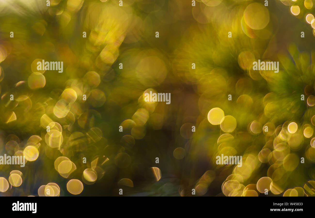 Bokeh. Light, yellow and green circle. Light background. Golden colors. Stock Photo