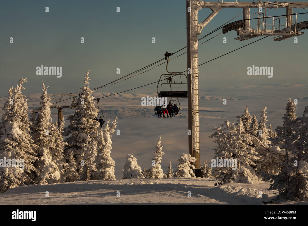 Play area trees with snow in a forest hi-res stock photography and ...