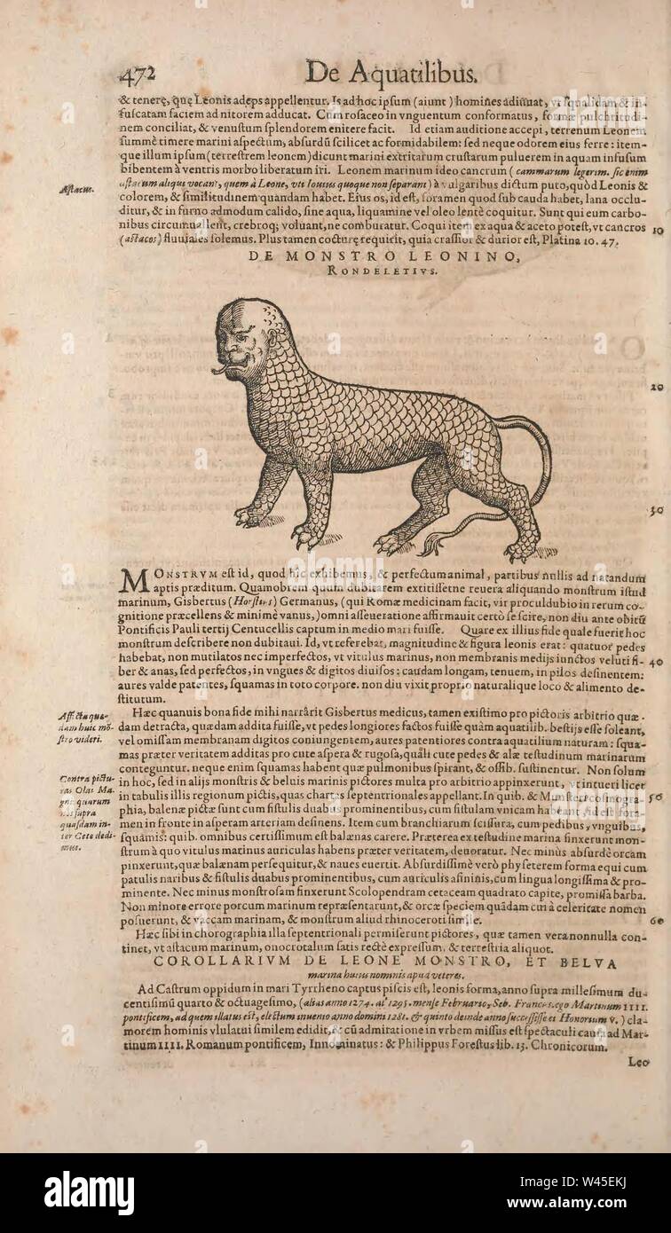 Conradi Gesneri medici Tigurini Historiae animalium liber IV (Page 472) Stock Photo