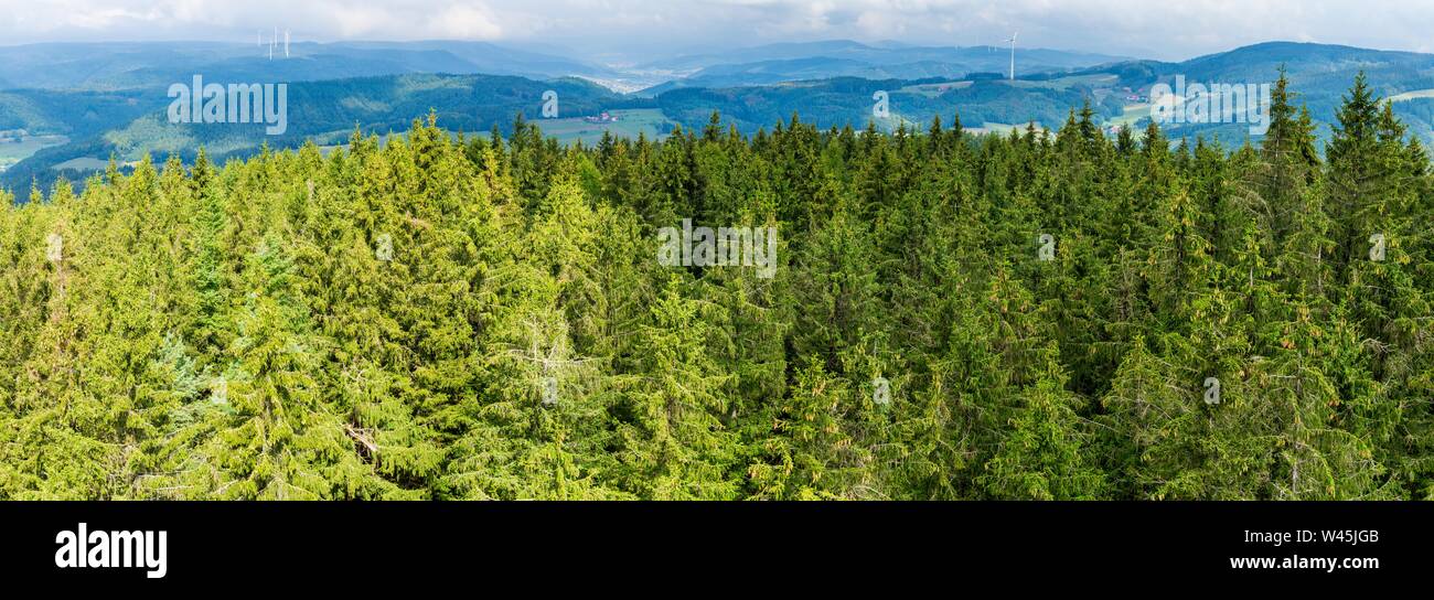 Fir Tree Tops High Resolution Stock Photography and Images - Alamy