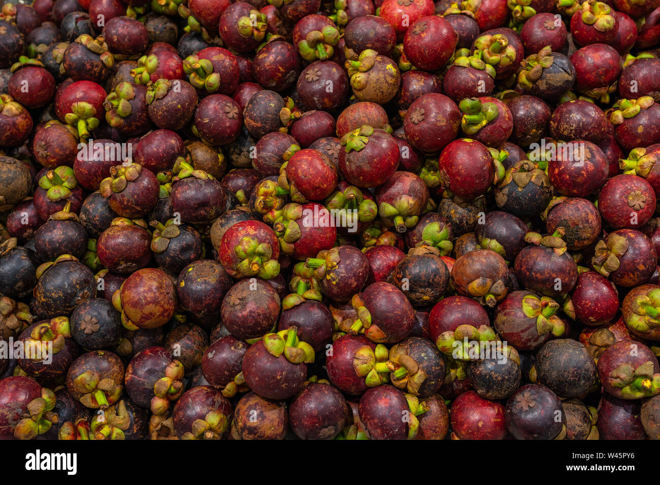 Pile of fresh mangosteen for sale at tropical fruit market Stock Photo Alamy