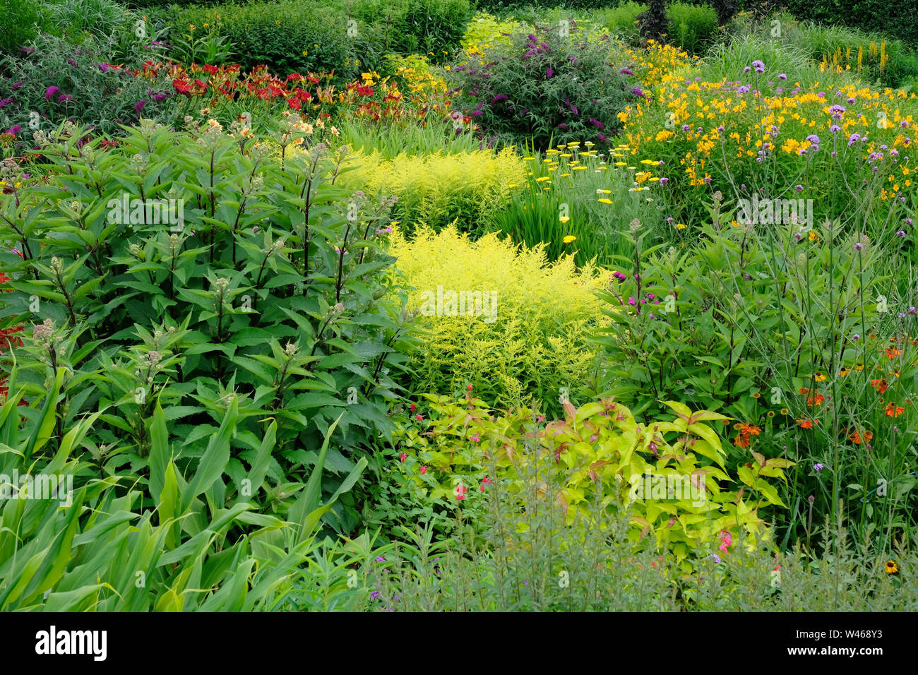 A summer flowerbed full of assorted flowering perennials, UK - John Gollop Stock Photo