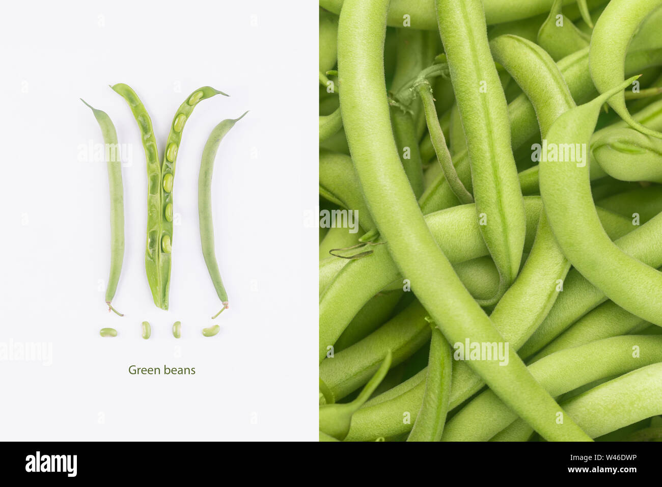 Creative layout made of green beans, vegetarian meals, green beans ...