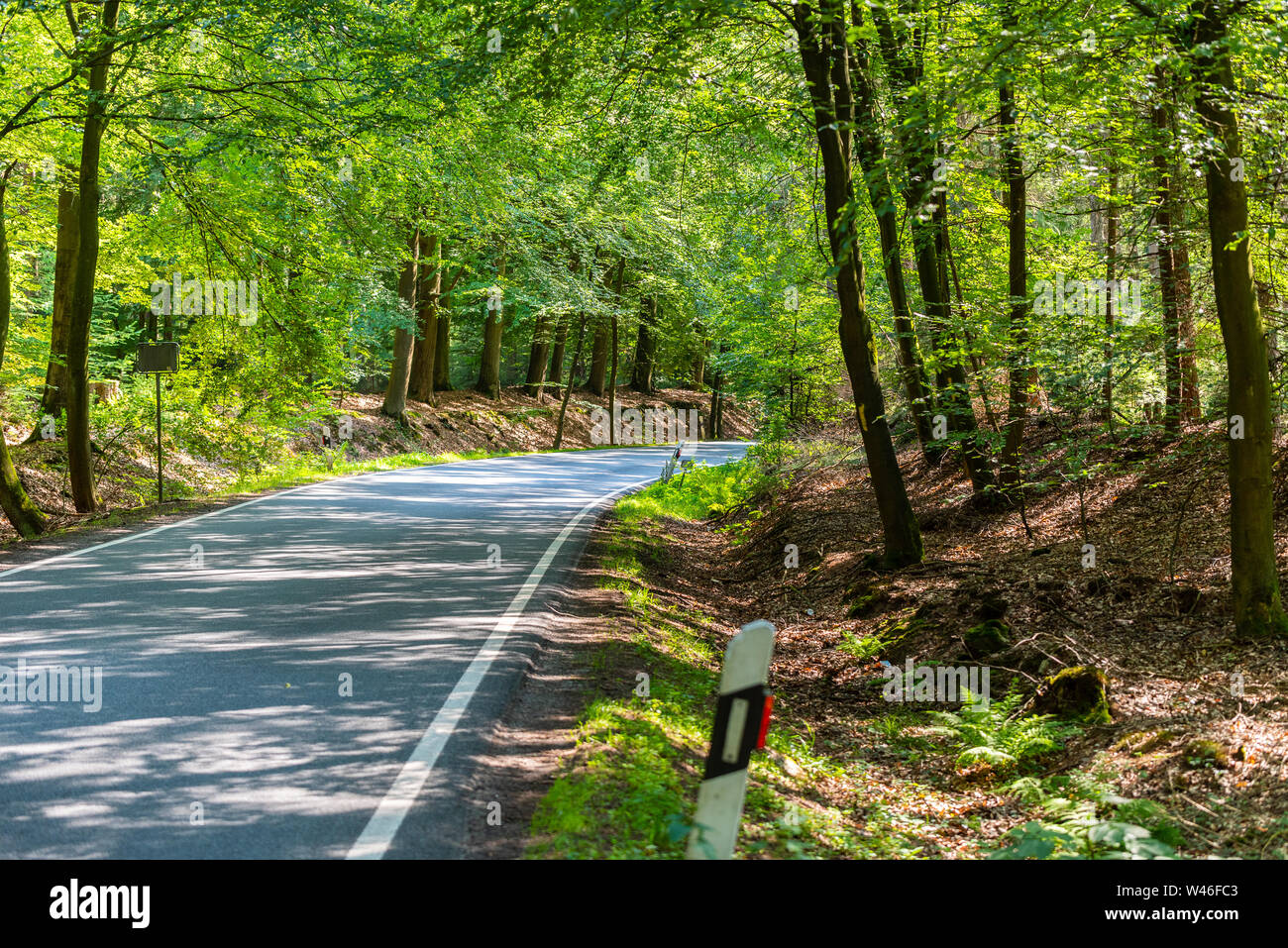 a dangerous country road in a forest of reindeer just so teeming in  germany Stock Photo